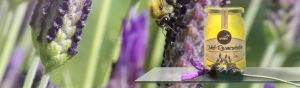 Wild Lavender Honey